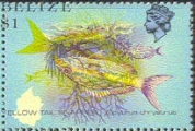 BELIZE 1984. Fish Yellowtail $1. ERROR : Inv.print