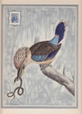 AUSTRALIA 1940s Bird bluish Essay 199x261mm