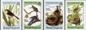 BR.VIRGIN ISLANDS 1985. Birds Audubon. IMPERF.SET +Progressive proofs :4 stages