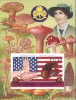 ST.VINCENT 1986 Scouting Mushrooms $5 with decorative border. Imperf.sheet [our choise of number]BULK:2x