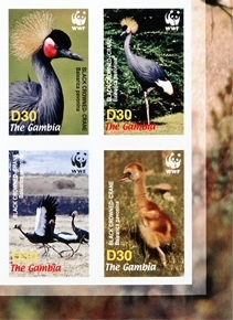 GAMBIA 2006 WWF. Black-Crowned-Crane birds. Imperf.4-BLOCK CORNER