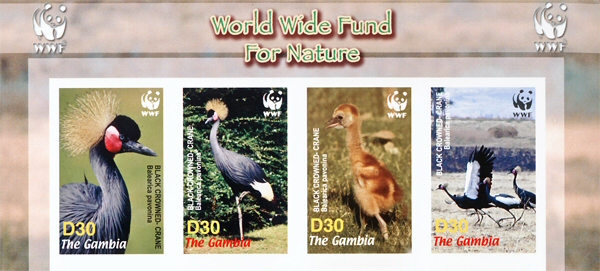 GAMBIA 2006 WWF. Black-Crowned-Crane birds. Imperf.4-strip CORNER MARG:3 UPPER