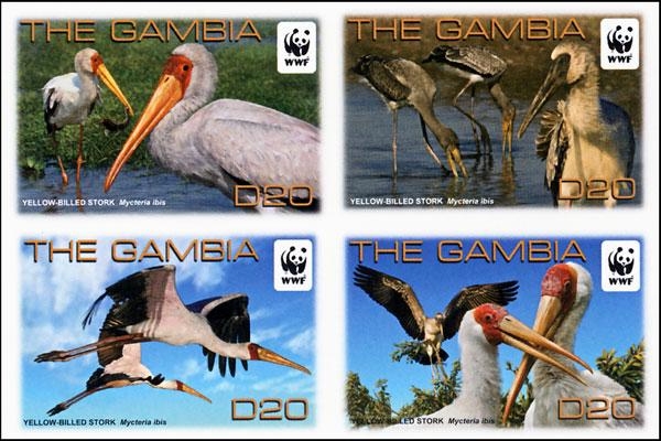 GAMBIA 2011 WWF Yellow-billed Stork IMPERF. 4-BLOCK BULK:2x