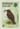 FALKLAND ISLANDS 1982 Blackish Cinclodes bird 5p IMPERF.PAIR