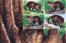 LIBERIA 1998 WWF. Liberian Mongoose Imperf:4-Block margins