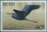 NEVIS 1985 Little Blue Heron 60c. IMPERF.10-BLOCK