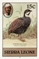 SIERRA LEONE 1980. Birds 10c. imprint 1982. watermark CW. IMPERF.